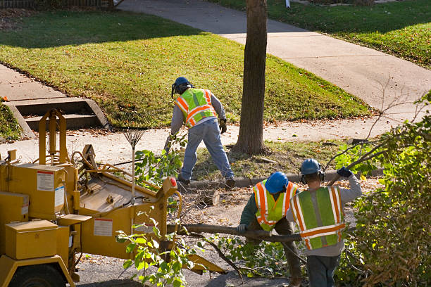 Best Lawn Watering Services  in Lampasas, TX